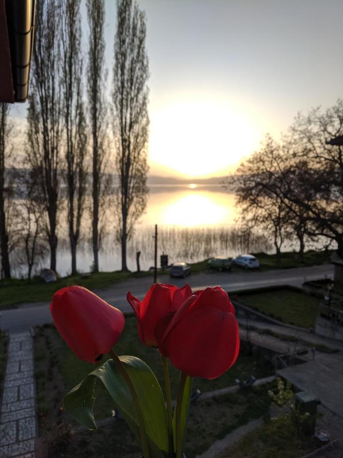 Ajkoski Apartments Pestani Luaran gambar
